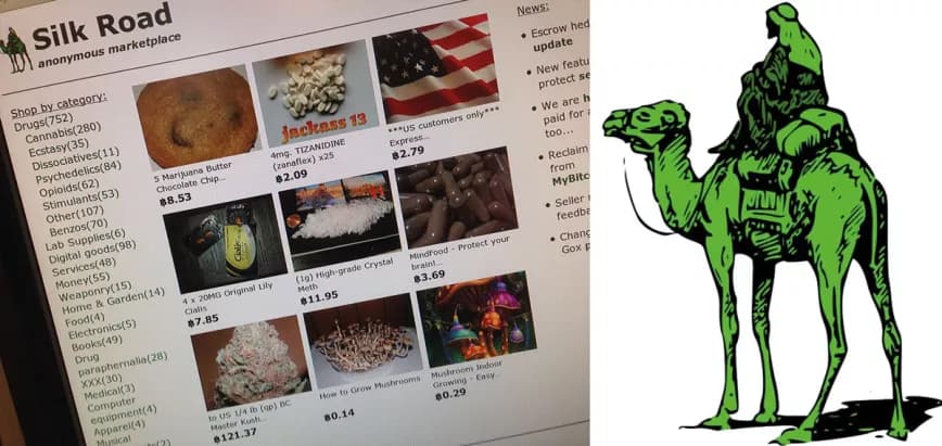 Picture of Lyn Ulbricht.