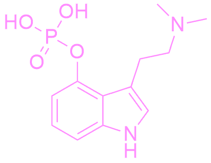 Description of the first image.